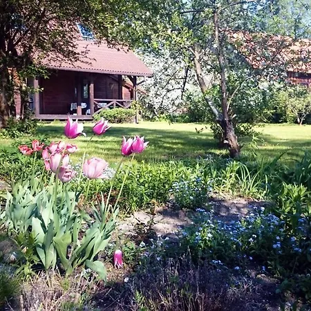 Domek Nad Samym Jeziorem Z Molo, Jezioro, Las * ووكتا